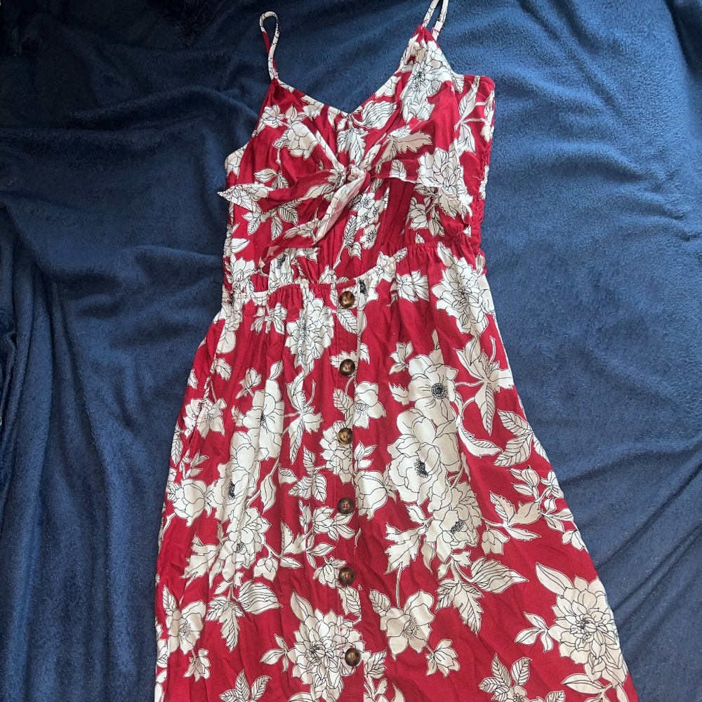 Francesca's Red and White Midi Floral Dress